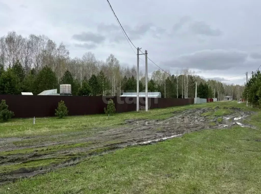 Участок в Тюменская область, Нижнетавдинский муниципальный округ, д. ... - Фото 1