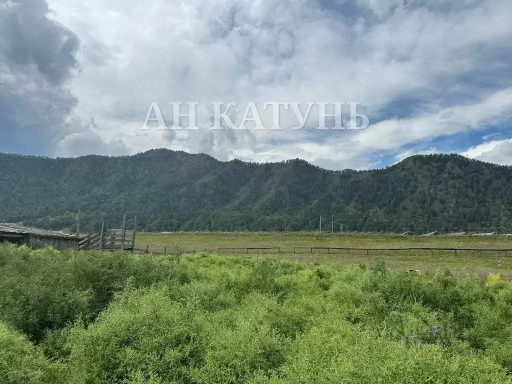 Участок в Алтай, Чемальский район, Аносинское с/пос  (10.0 сот.) - Фото 2