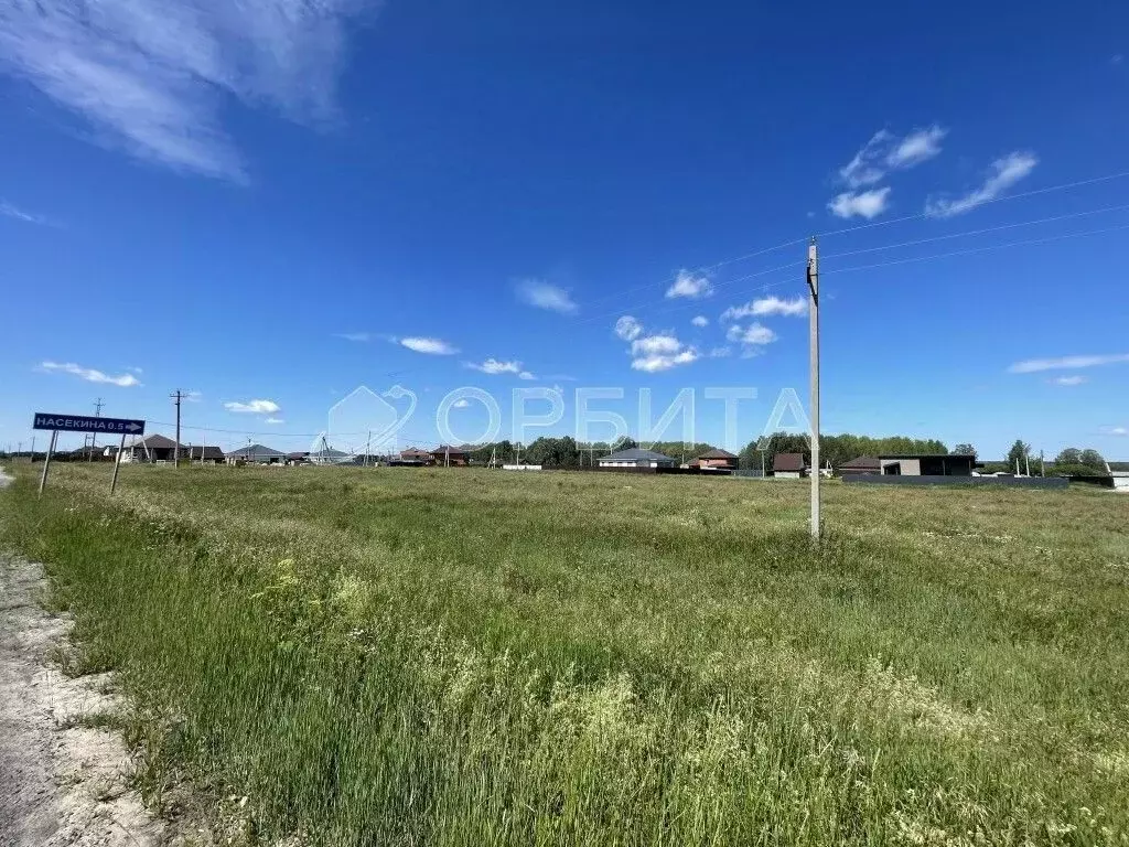 Участок в Тюменская область, Тюменский район, с. Каменка  (330.0 сот.) - Фото 0