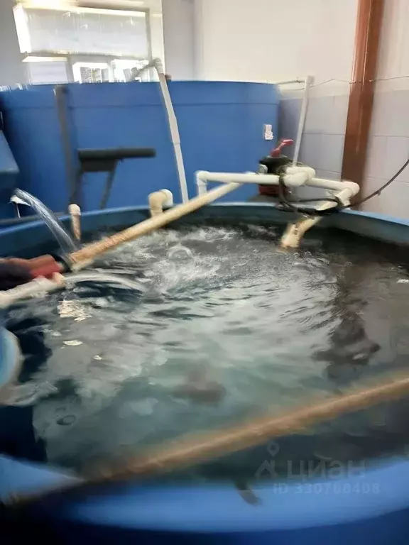 Помещение свободного назначения в Саха (Якутия), Якутск ул. Труда, 1А ... - Фото 2