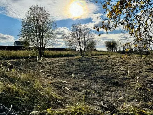 Участок в Московская область, Истра городской округ, д. Мансурово  ... - Фото 1