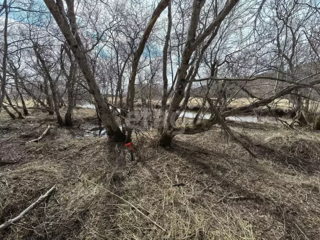 Участок в Камчатский край, с. Усть-Большерецк  (20.0 сот.) - Фото 2