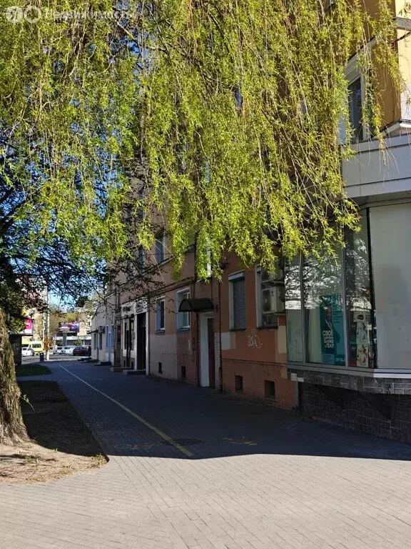 1к в -комнатной квартире (16 м) - Фото 1