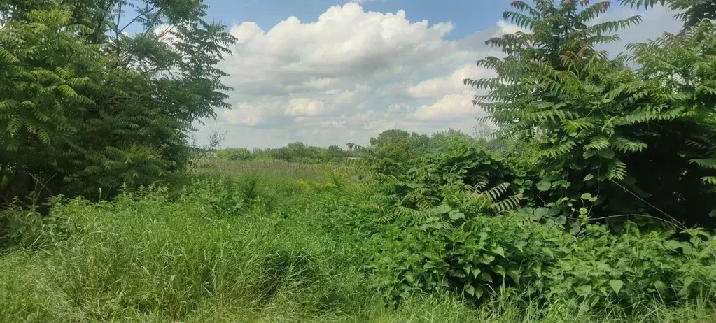 Участок в Краснодарский край, Северский район, Львовское с/пос, с. ... - Фото 2