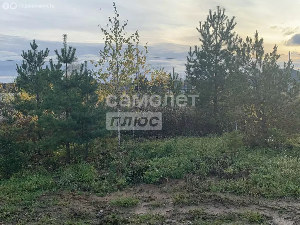 Участок в Московская область, городской округ Щёлково, деревня Малые ... - Фото 2