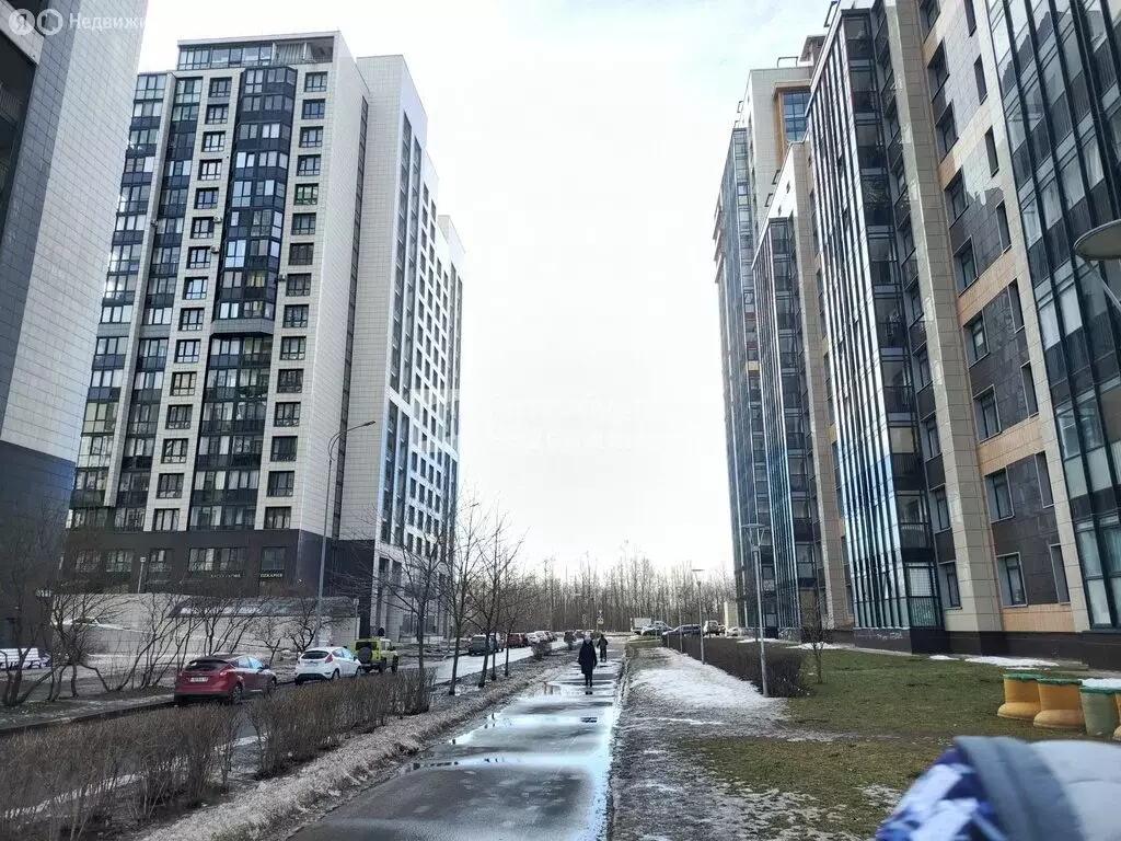 Квартира-студия: Санкт-Петербург, улица Адмирала Черокова, 22 (23.7 м) - Фото 2