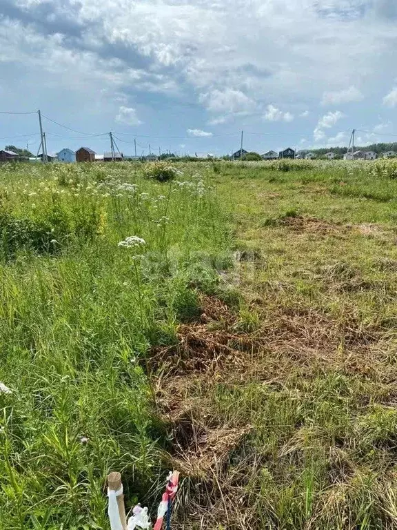 Участок в Нижегородская область, Богородский муниципальный округ, д. ... - Фото 1