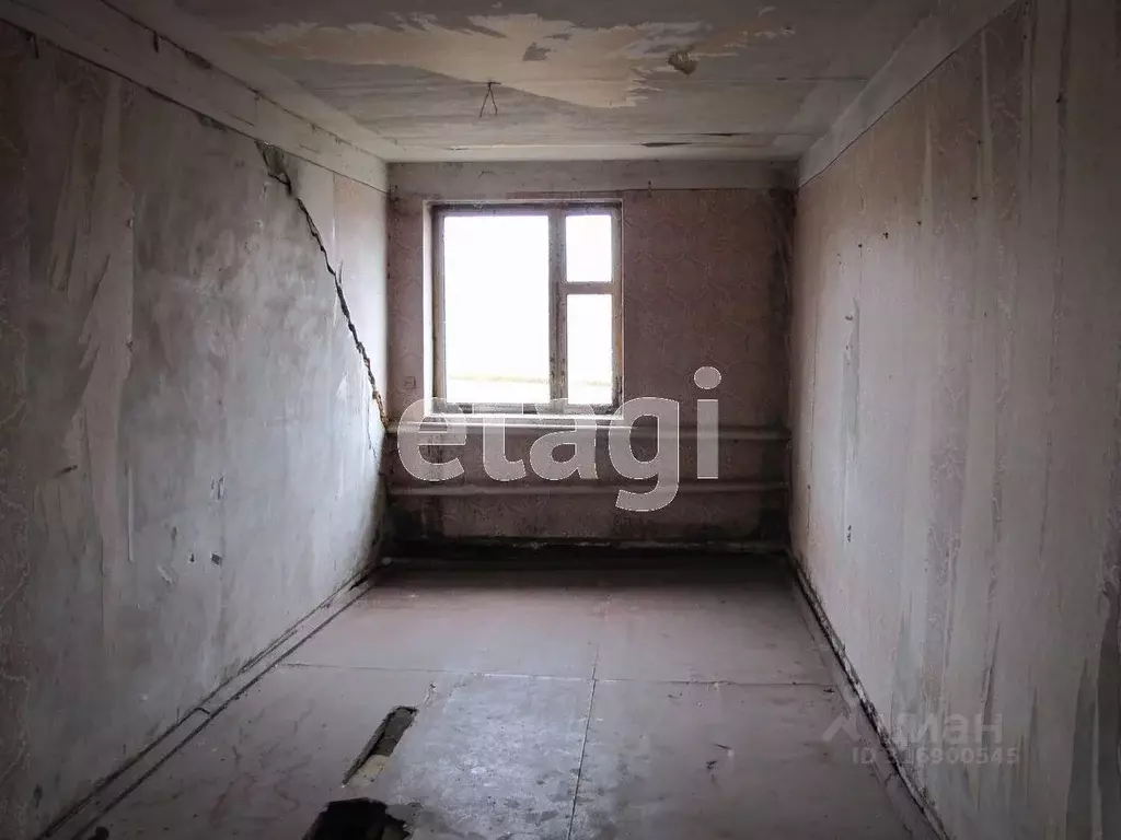 Дом в Белгородская область, Волоконовский район, с. Репьевка ул. ... - Фото 1