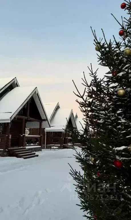 Дом в Владимирская область, Суздальский район, Селецкое муниципальное ... - Фото 1