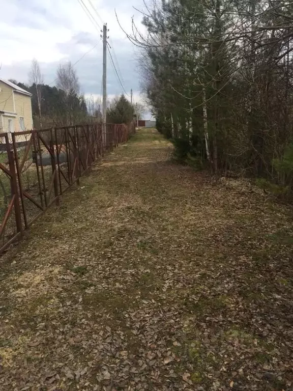 Участок в Московская область, Рузский муниципальный округ, д. ... - Фото 2