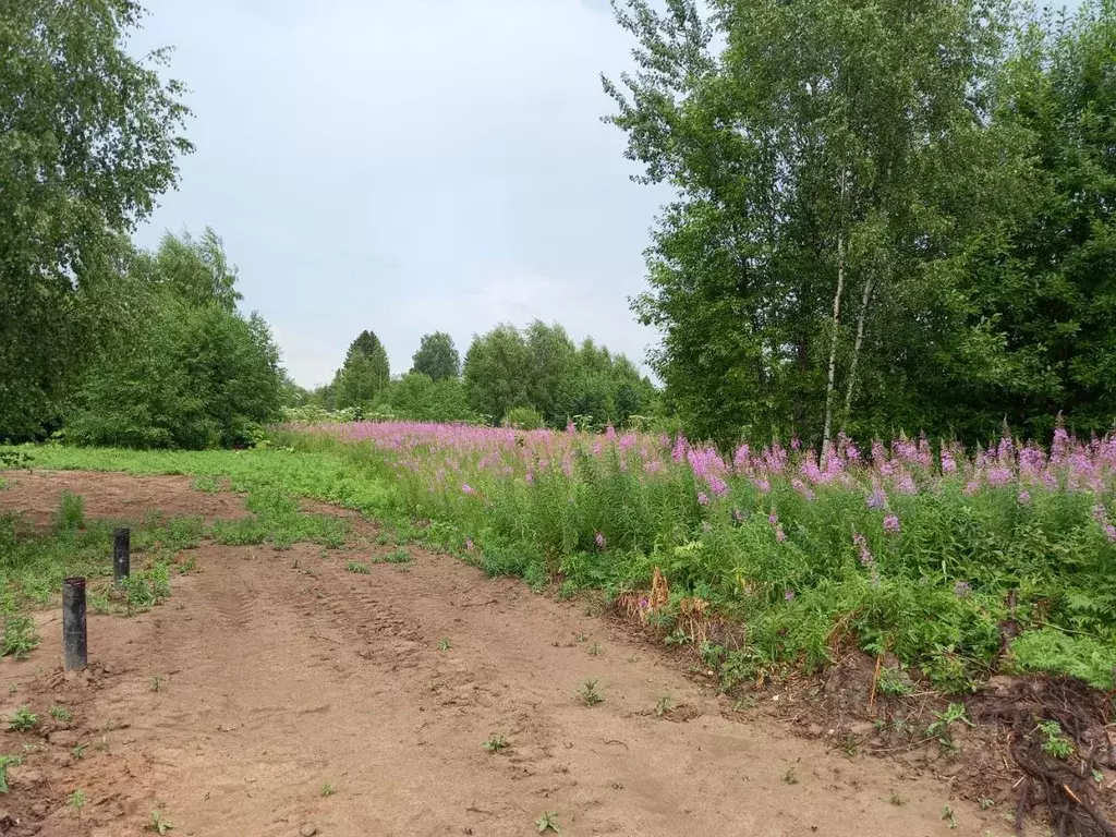 Участок в Московская область, Дмитровский муниципальный округ, пос. ... - Фото 2