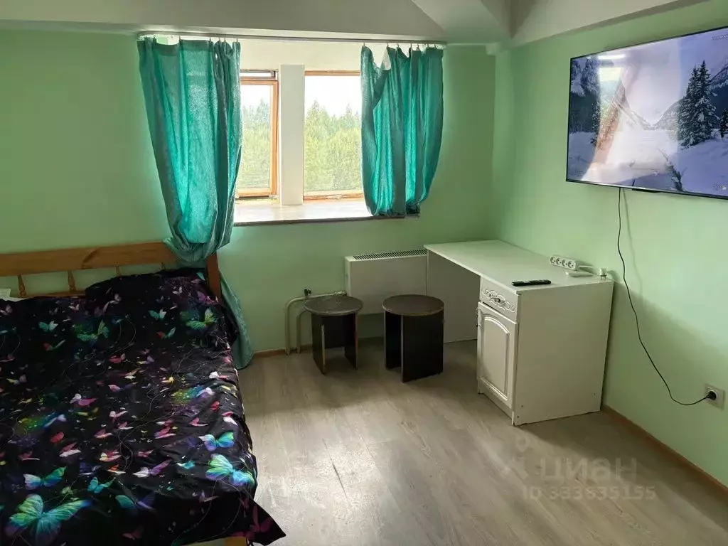 1-к кв. Московская область, Клин ул. Профсоюзная, 13к1 (25.0 м) - Фото 1
