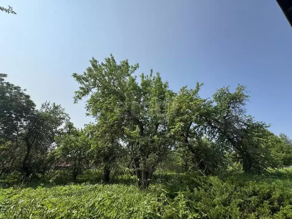 Участок в Смоленская область, Смоленский муниципальный округ, д. ... - Фото 1