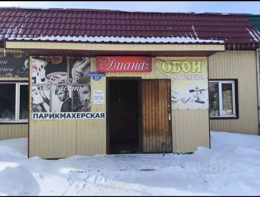 Помещение свободного назначения в Курская область, Черемисиново рп ул. ... - Фото 1