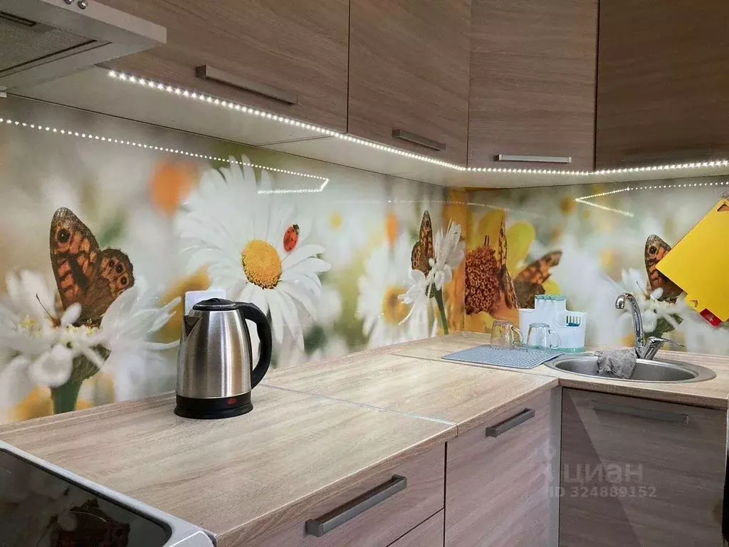 Студия Санкт-Петербург просп. Буденного, 23к4 (24.0 м) - Фото 2