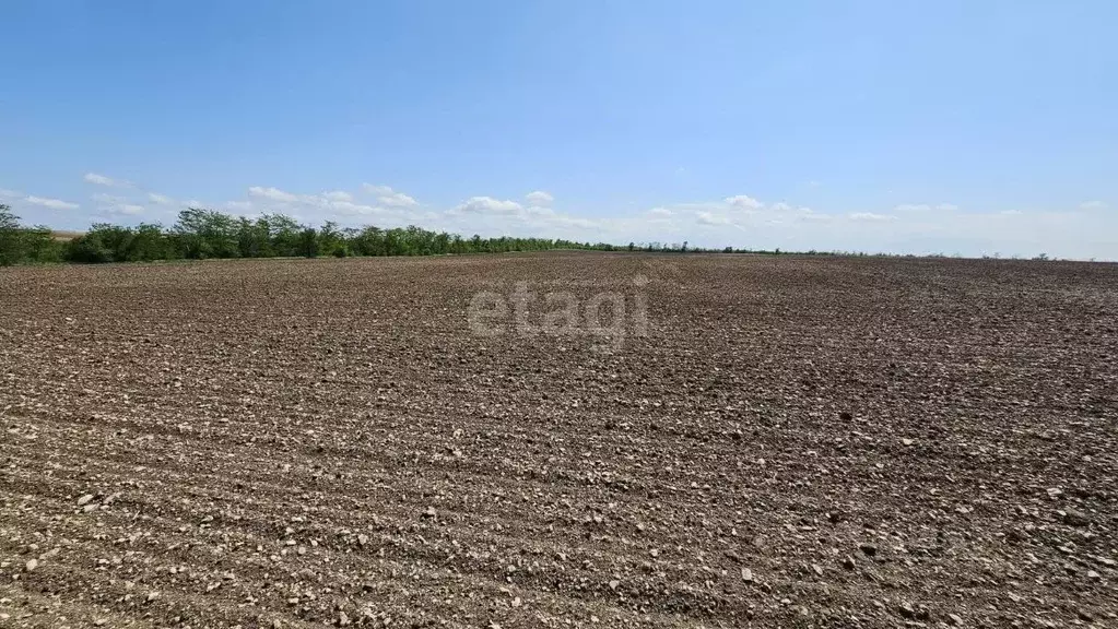 Участок в Крым, Белогорский район, с. Цветочное  (824.9 сот.) - Фото 0