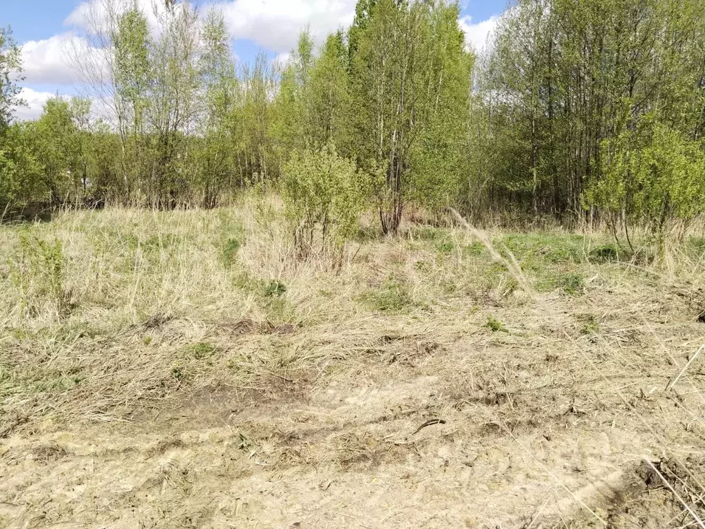 Участок в Московская область, Орехово-Зуевский городской округ, пос. ... - Фото 0
