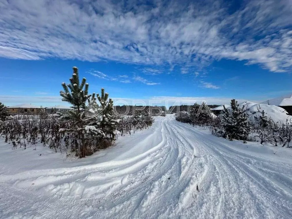 Участок в Тюменская область, Тюменский муниципальный округ, д. Елань ... - Фото 2