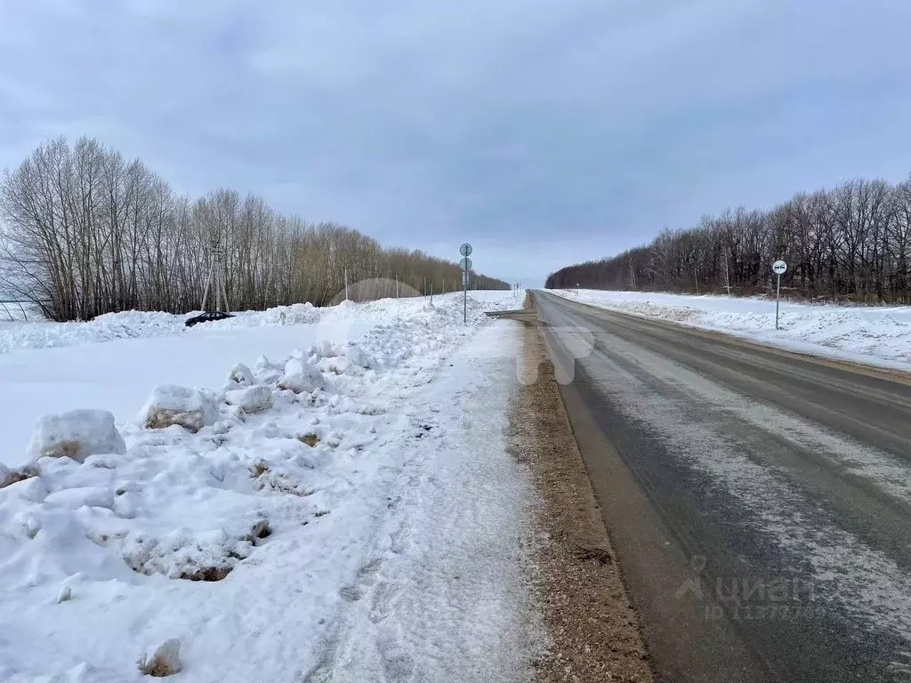 Участок в Татарстан, Лаишевский район, Чирповское с/пос, с. Чирпы  ... - Фото 1