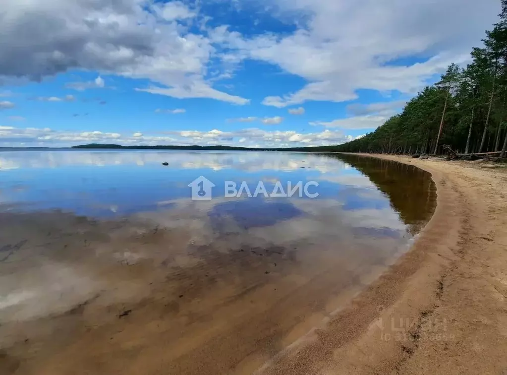 Участок в Карелия, Суоярвский муниципальный округ, Инжунаволок тер.  ... - Фото 0