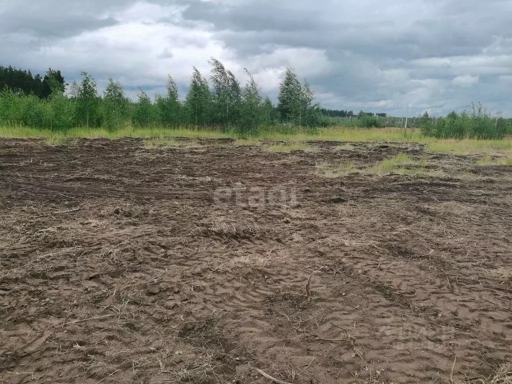 Участки В Ямном Воронеж Купить