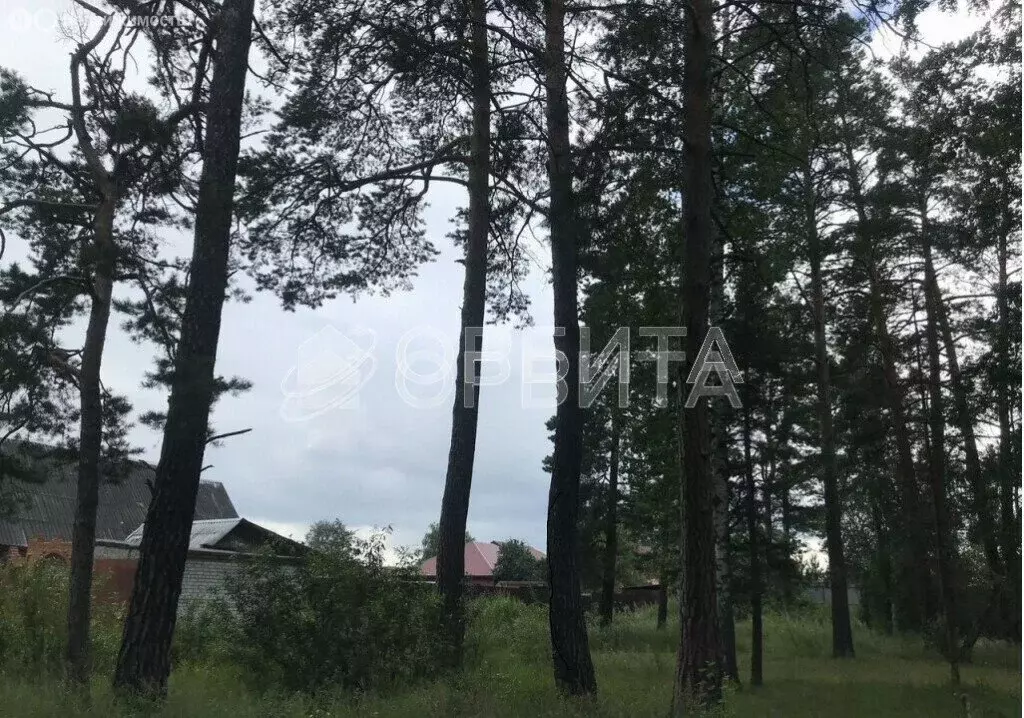 Участок в Винзили, 1-я Заречная улица (15 м) - Фото 0