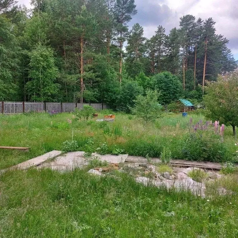 Участок, 6.1 сот., сельхоз (снт или днп) - Фото 0