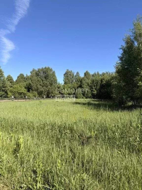 Участок в Нижегородская область, Лысковский район, с. Великовское ... - Фото 2