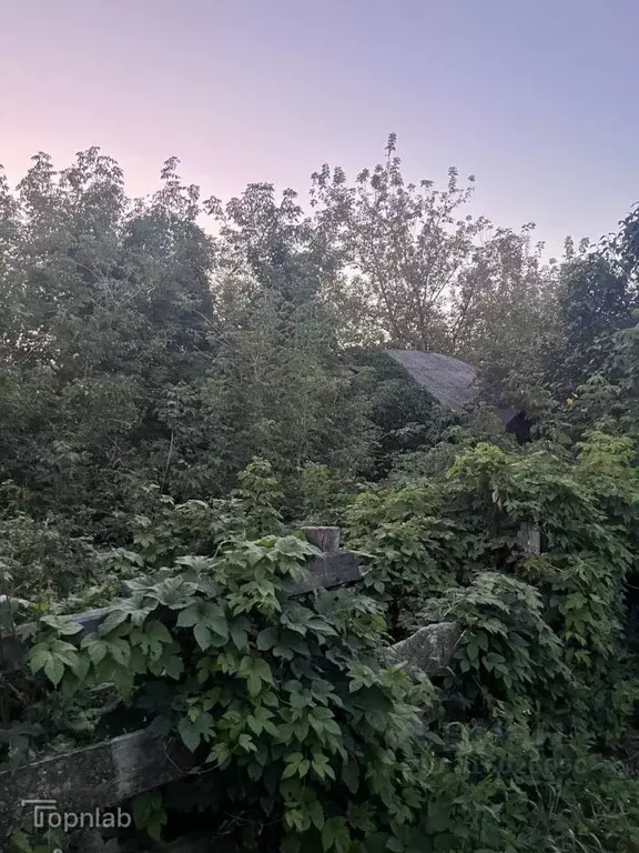 Участок в Тамбовская область, Жердевка ул. Суворова (9.81 сот.) - Фото 1