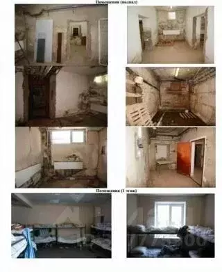 Помещение свободного назначения в Москва Миклухо-Маклая ул., 23К2 ... - Фото 1