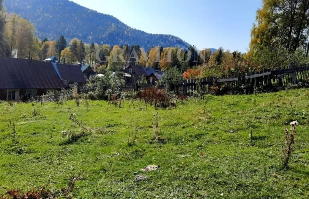 Дом в Алтай, Турочакский район, с. Артыбаш Кедровая ул. (37 м) - Фото 1