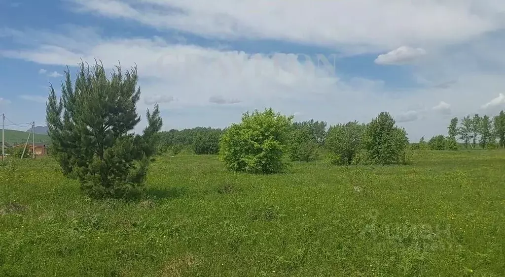 Участок в Алтай, Майминский район, с. Подгорное ул. Магистральная ... - Фото 1