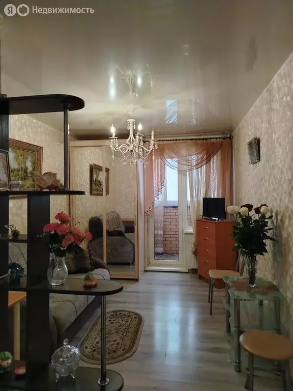 Квартира-студия: Тосно, шоссе Барыбина, 10А (20 м) - Фото 0