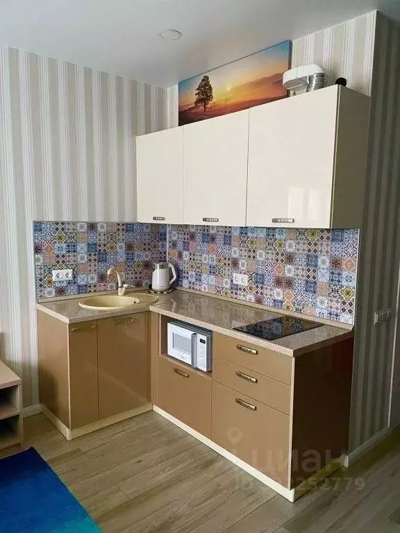 1-к кв. Краснодарский край, Сочи Адлер жилрайон, ул. Ленина, 219А/1к1 ... - Фото 2