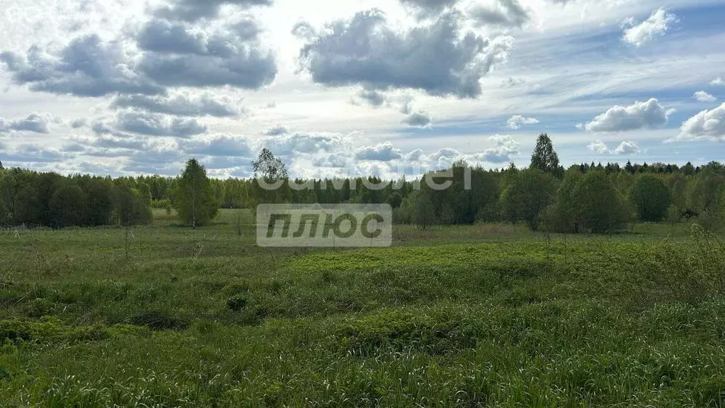 Участок в Московская область, городской округ Солнечногорск, деревня ... - Фото 0