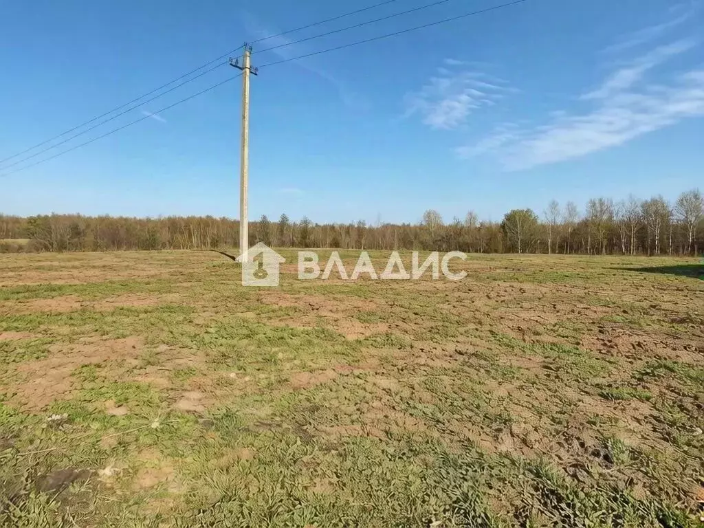Участок в Нижегородская область, Нижний Новгород городской округ, д. ... - Фото 1