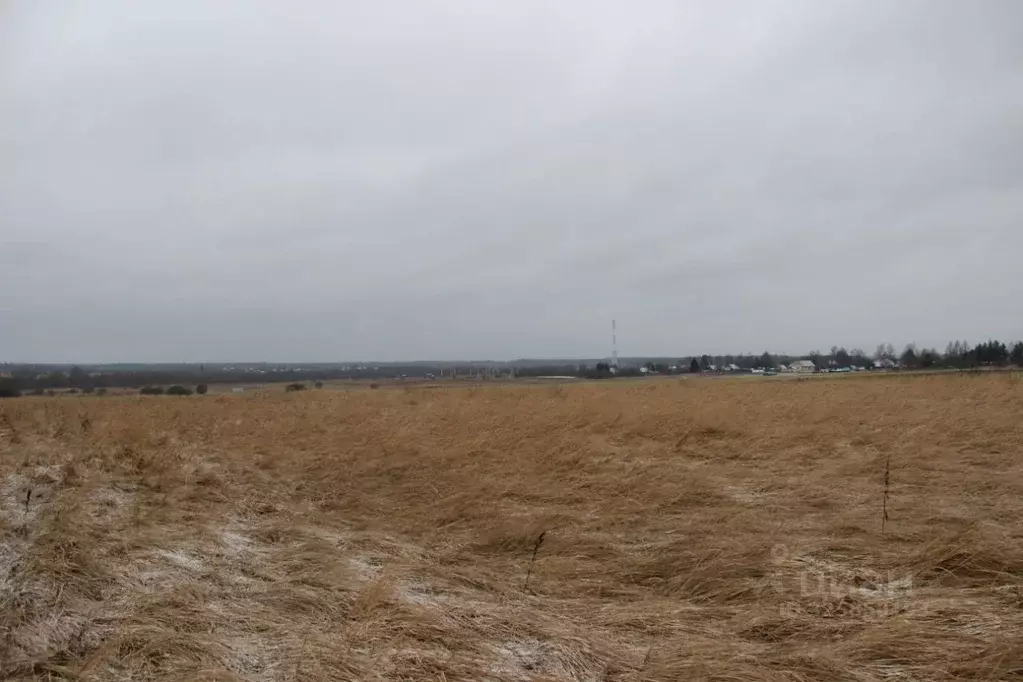 Участок в Московская область, Шаховская муниципальный округ, д. Дор  ... - Фото 0