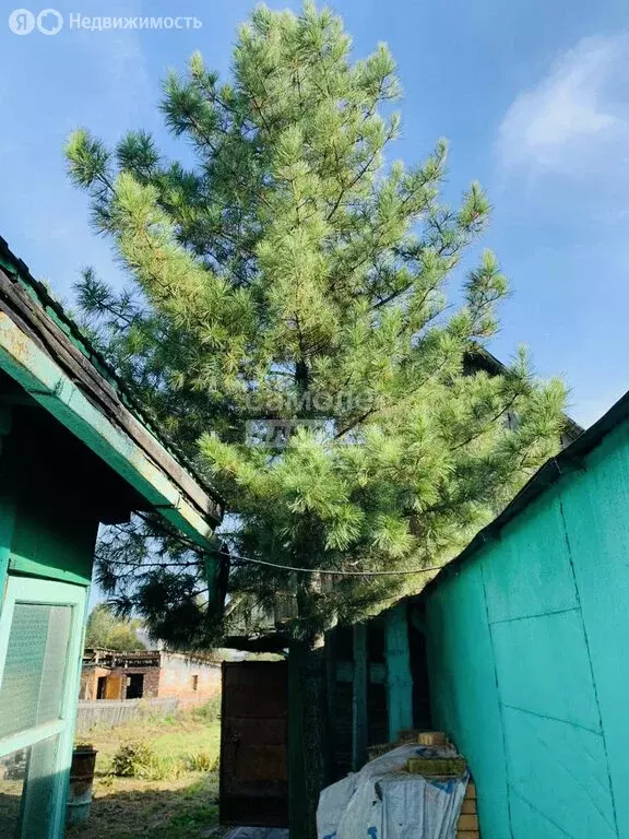 Дом в Юрга, Интернациональная улица (98 м) - Фото 0