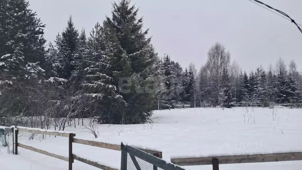 Участок в Кировская область, Кирово-Чепецкий район, Пасеговское с/пос, ... - Фото 1