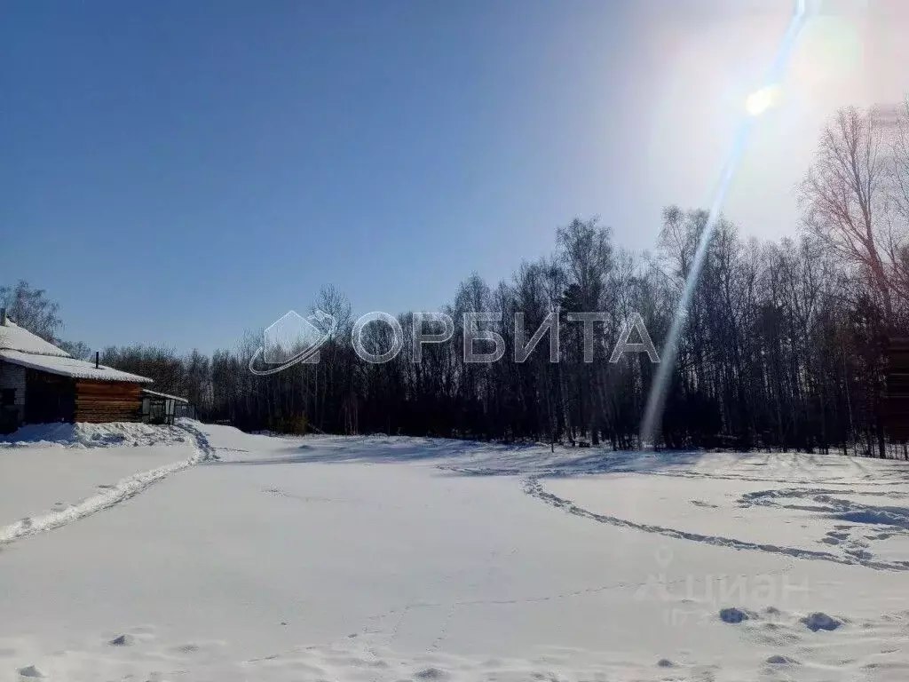 Участок в Тюменская область, Тюменский район, пос. Туринский  (8.32 ... - Фото 2