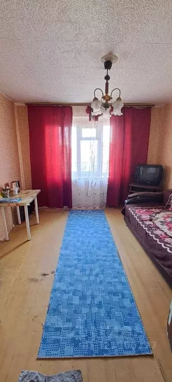 Комната Новосибирская область, Новосибирск ул. Энгельса, 14 (12.7 м) - Фото 0