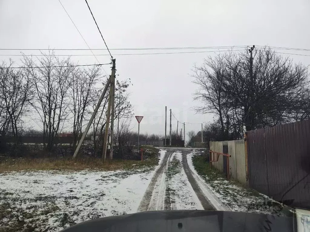 Участок в Белгородская область, Яковлевский муниципальный округ, ... - Фото 1
