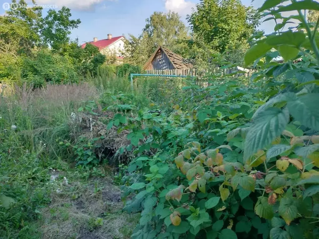 Дом в Выкса, улица Дзержинского (50 м) - Фото 1