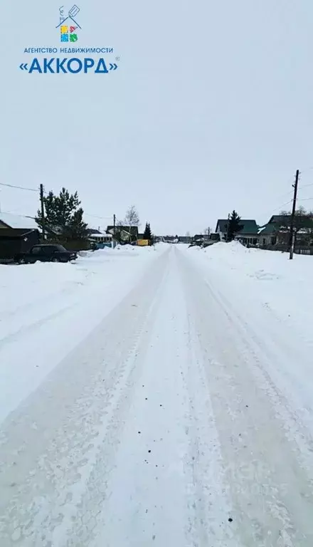 Участок в Алтайский край, Павловский район, с. Шахи ул. Загайнова (7.0 ... - Фото 2
