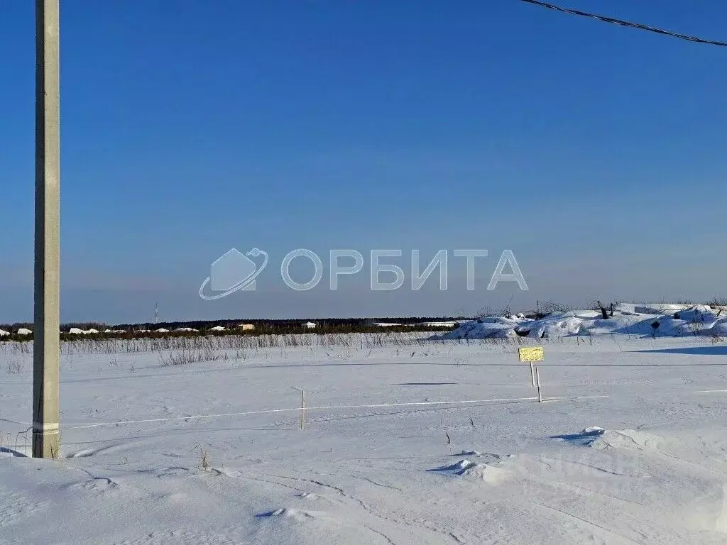 Участок в Тюменская область, Тюменский муниципальный округ, с. ... - Фото 1