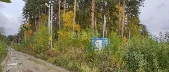 Участок в Свердловская область, Екатеринбург Исток СНТ, 174 (18.5 ... - Фото 1