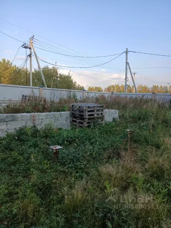 Участок в Свердловская область, Белоярский городской округ, д. Гусева  ... - Фото 1