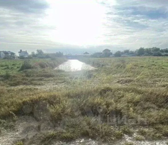 Участок в Краснодарский край, Темрюк Труженик СНТ, ул. Осенняя (6.0 ... - Фото 1