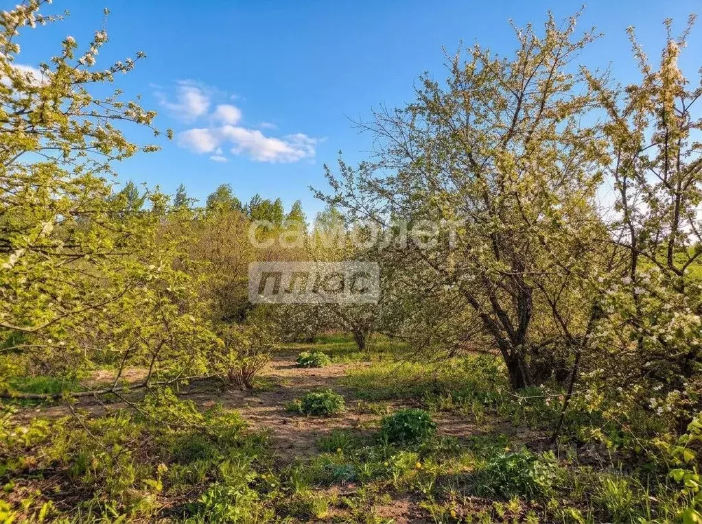 Участок в Башкортостан, Иглинский район, Калтымановский сельсовет, ... - Фото 1