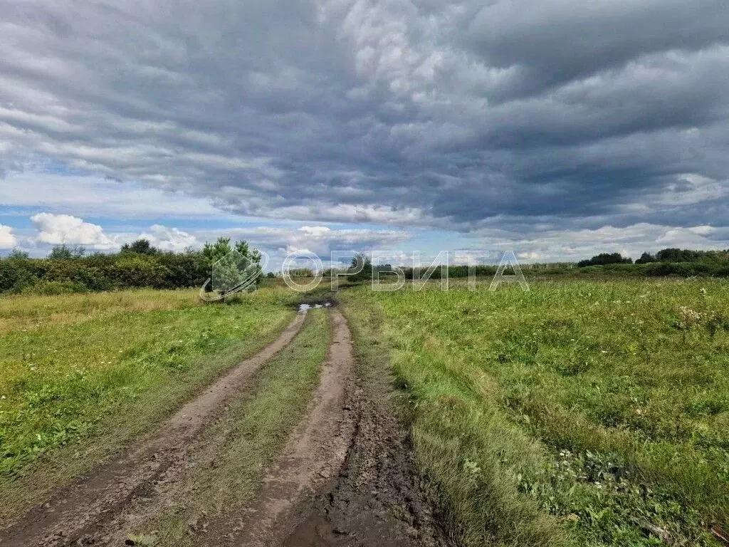 Участок в Тюменская область, Тюменский район, с. Луговое  (430.0 сот.) - Фото 0